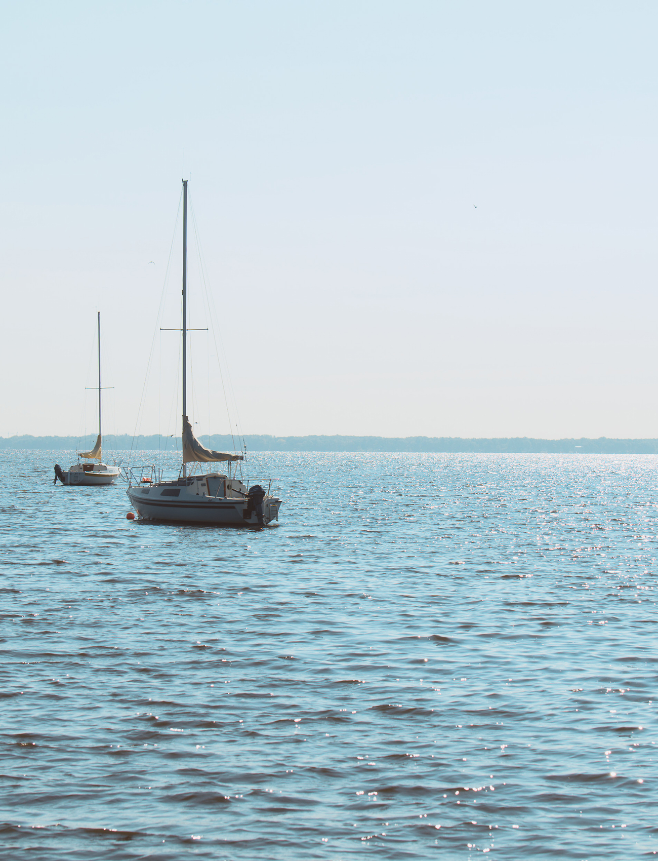 Sailboat on the water