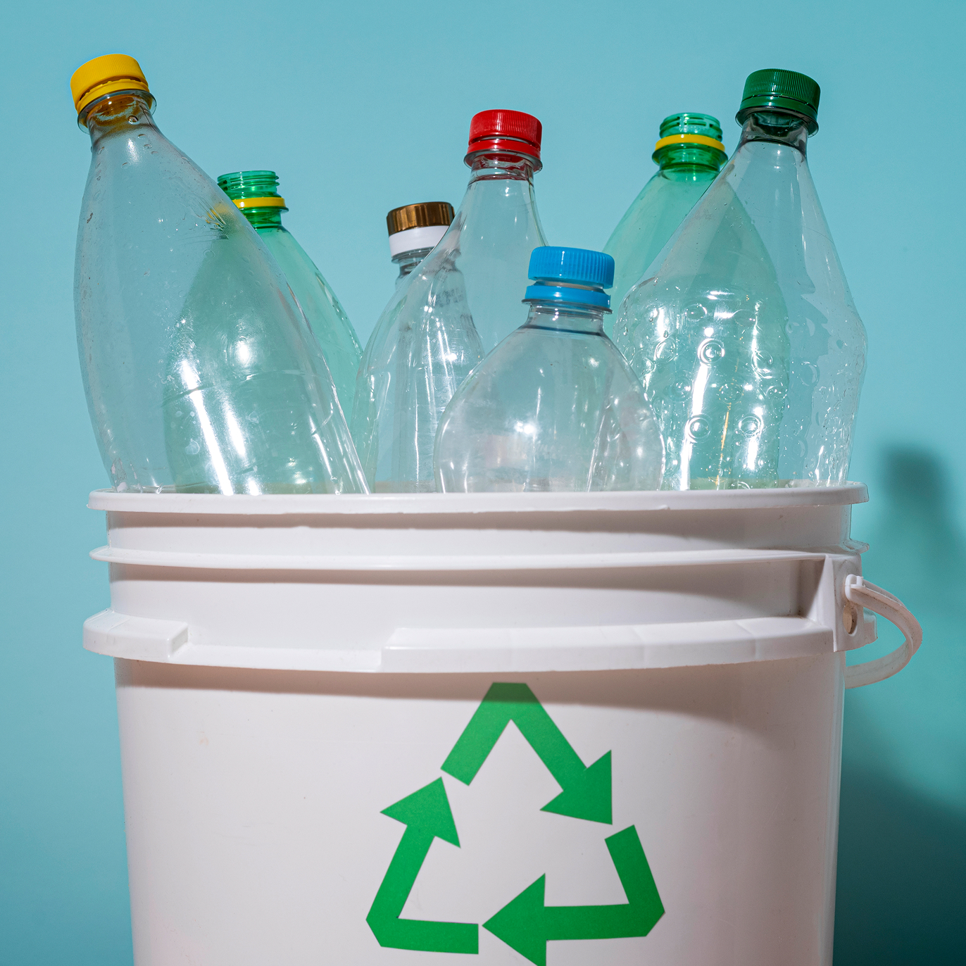 Plastic bottles in a recycling bin