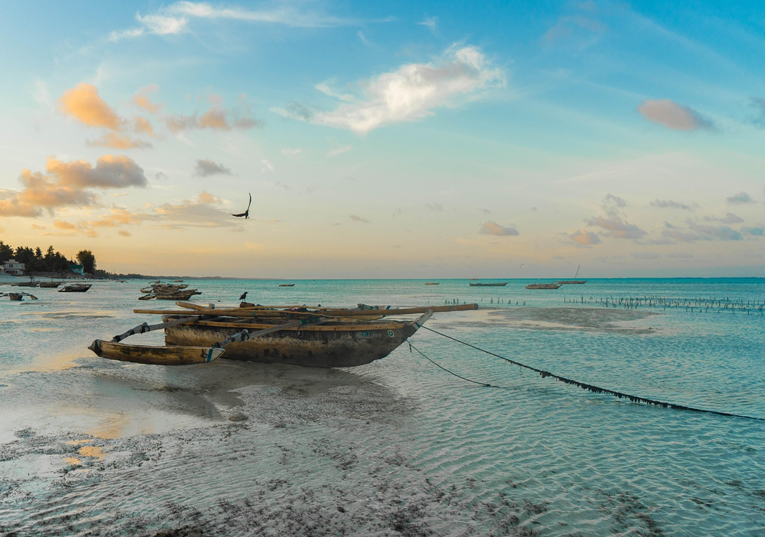 Nungwi beach in Zanzibar, Tanzania. Image by klimentgrozdanoski on Pixabay.
