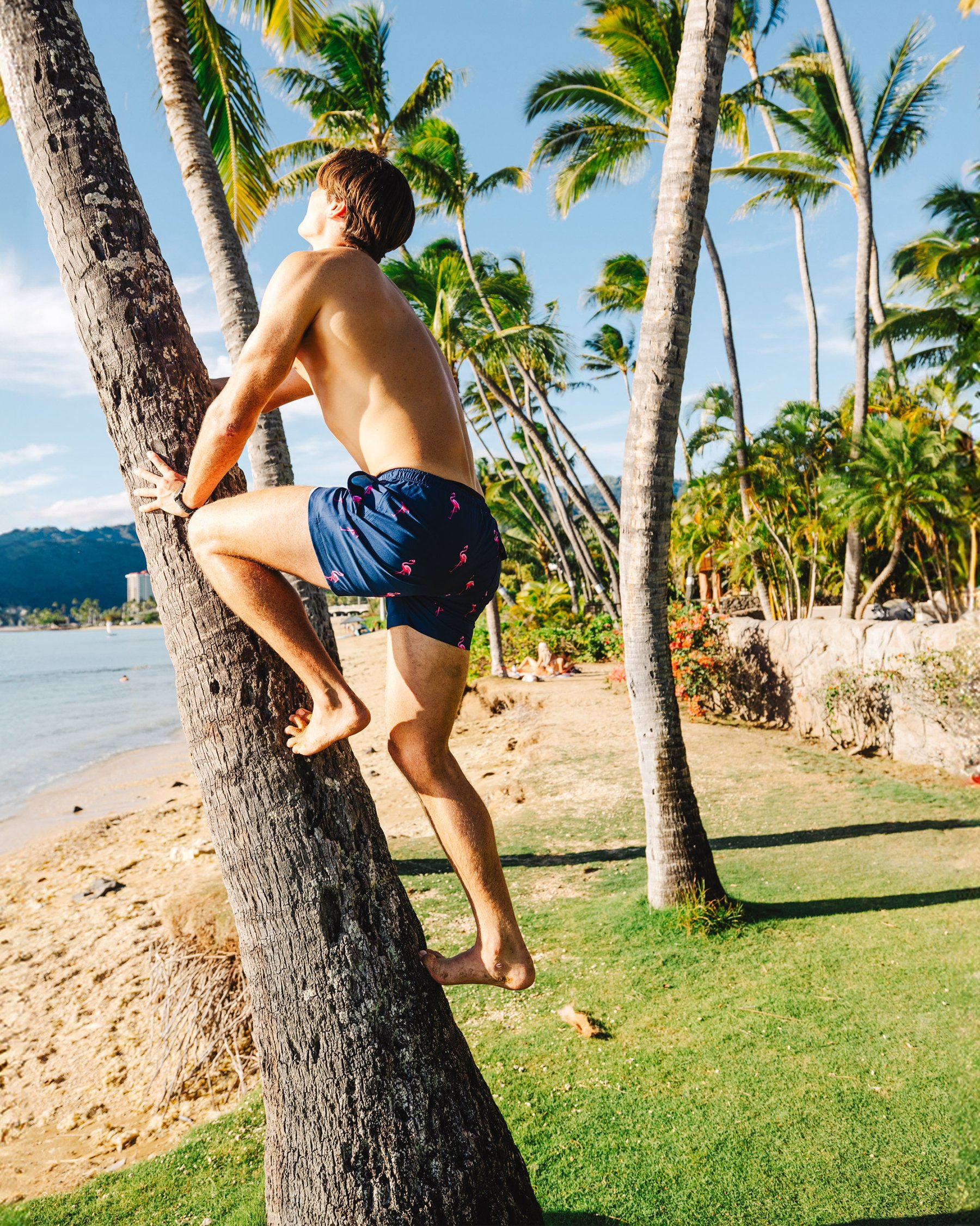 BERMIES Flamingo Volley Swimsuit Blue and pink MIAMI NIGHT - View1