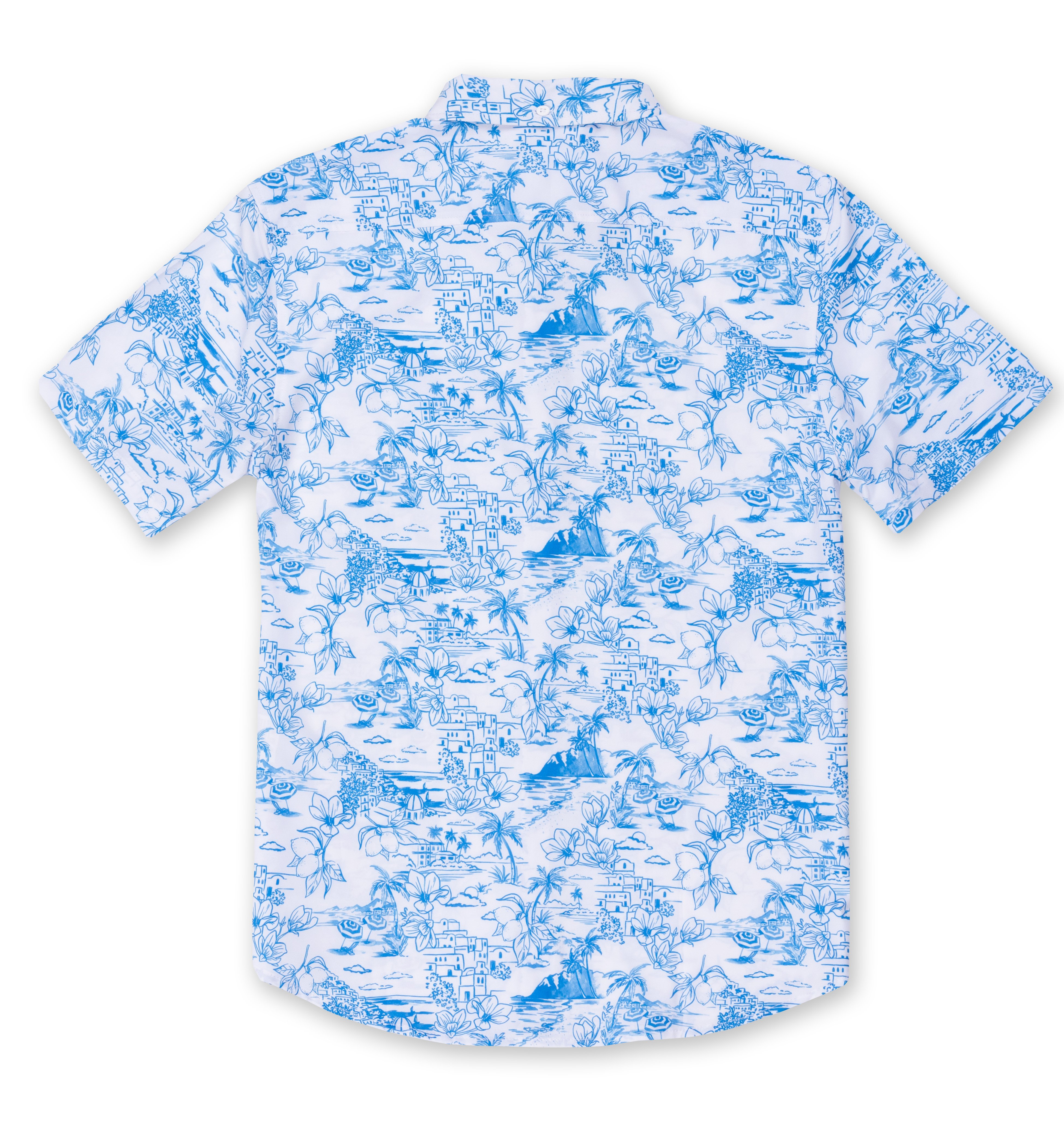 VINTAGE SUMMER Stretch Button Down Shirt Blue and white V71801 - View2