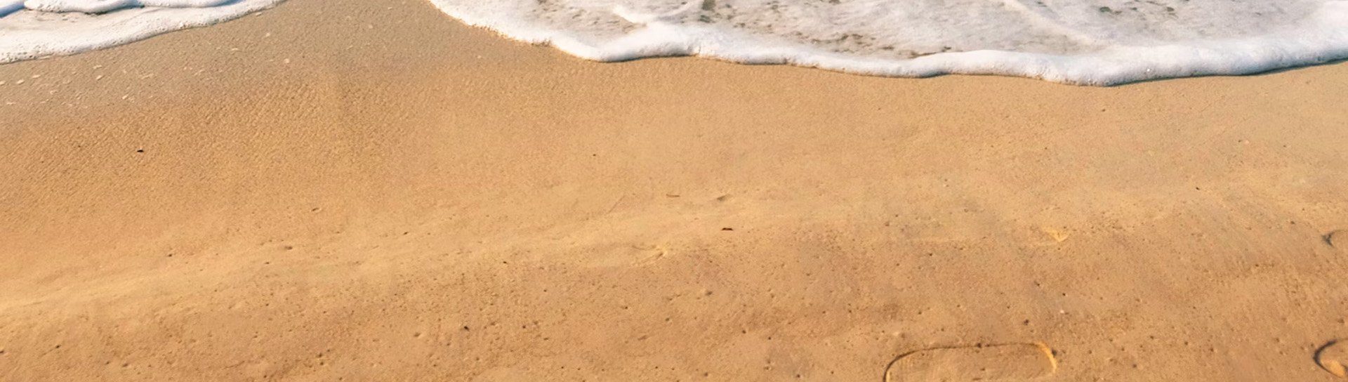 Branded swimwear & beachwear