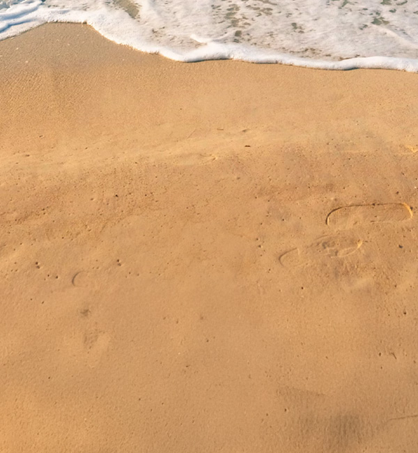 Branded swimwear & beachwear